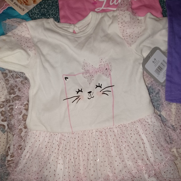 30+ Pieces Baby Girls Clothing Sizes 6-9 Months Some NWT Some used - Picture 8 of 16